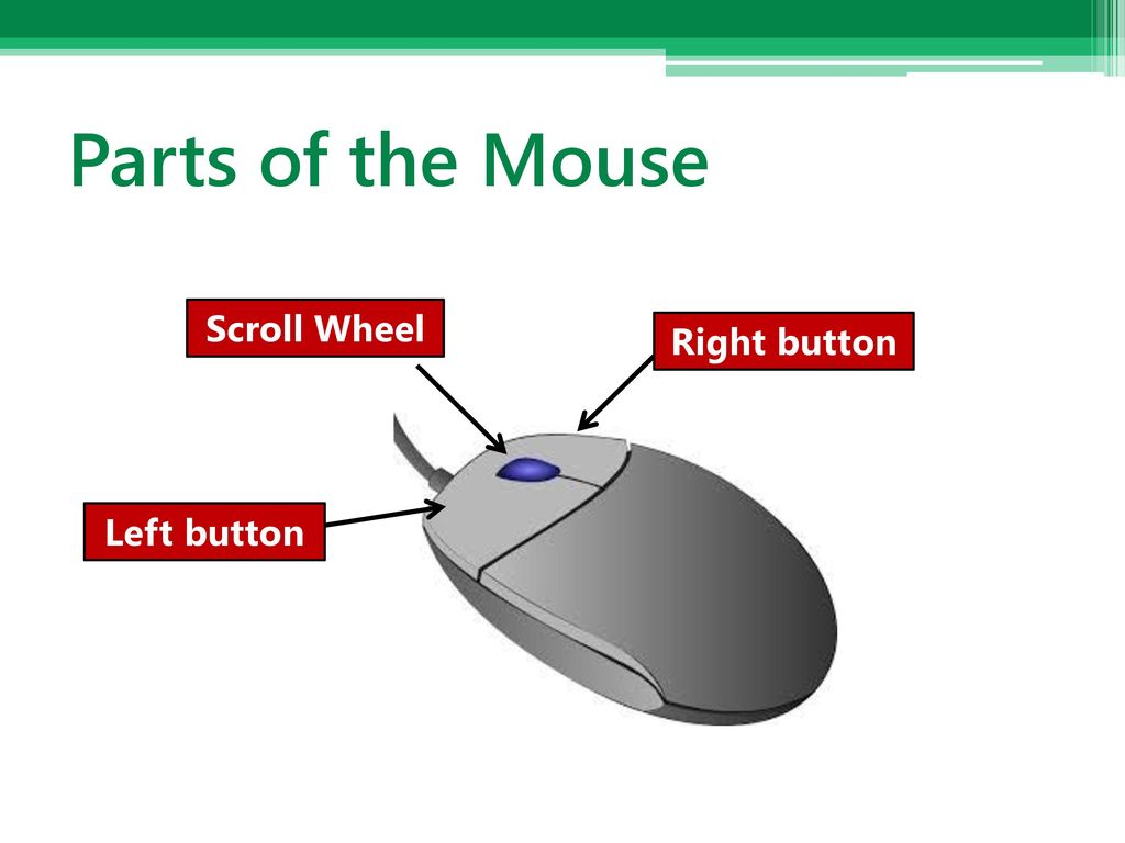 Parts on sale of mouse